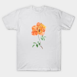 orange rose and a busy bee T-Shirt